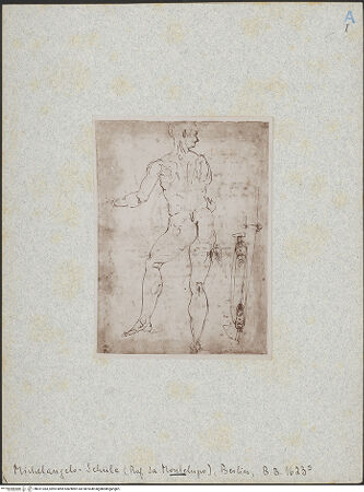 Vorderseite von bh021383_recto