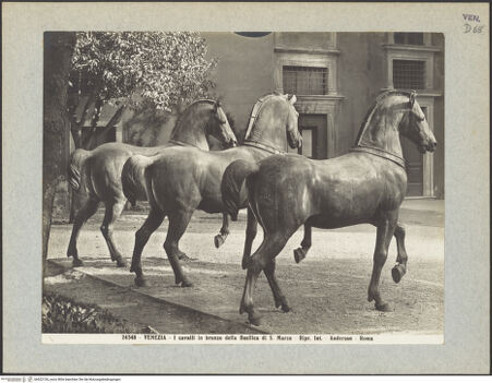Vorderseite von Alinari [https://www.deutsche-digitale-bibliothek.de/content/lizenzen/rv-ez/] Quadriga, sog. Pferde von San Marco (Cavalli di San Marco) - Die Pferde im Palazzo Venezia, Rom (1915/1918), bh022154_recto. Foto.