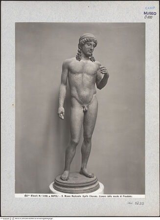 Vorderseite von Alinari [https://www.deutsche-digitale-bibliothek.de/content/lizenzen/rv-ez/] Apollo Citharoedus - Frontalansicht, bh022274_recto. Foto.