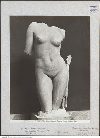 Vorderseite von Alinari [https://www.deutsche-digitale-bibliothek.de/content/lizenzen/rv-ez/] Venus Anadyomenes - Gesamtansicht, bh022275_recto. Foto.