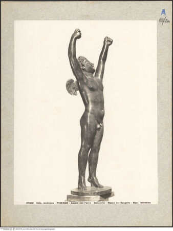 Vorderseite von bh022374_recto