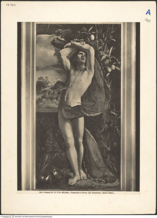 Vorderseite von bh022386_recto