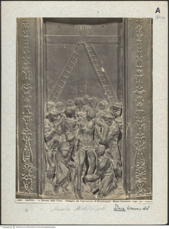 Vorderseite von bh022426_recto