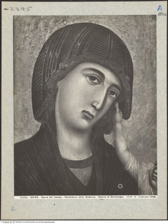 Vorderseite von bh022464_recto