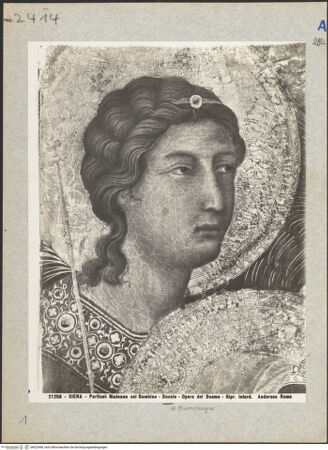 Vorderseite von bh022468_recto