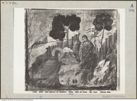 Vorderseite von bh022485_recto