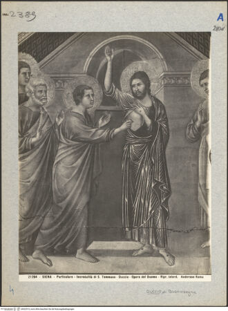 Vorderseite von bh022513_recto