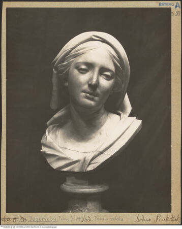 Vorderseite von bh022535_recto