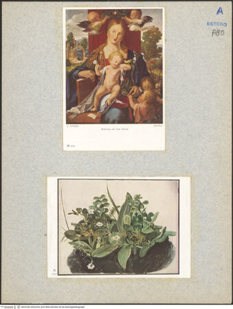 Vorderseite von bh022544_bh022545_recto