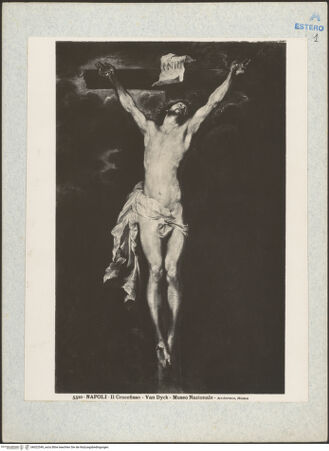 Vorderseite von bh022549_recto