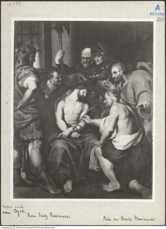 Vorderseite von bh022556_recto