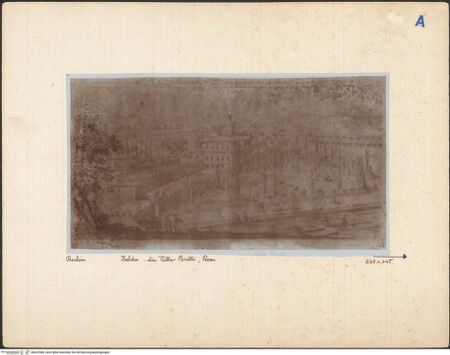 Vorderseite von bh022588_recto