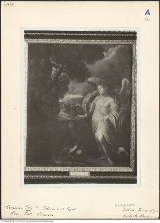 Vorderseite von bh022612_recto