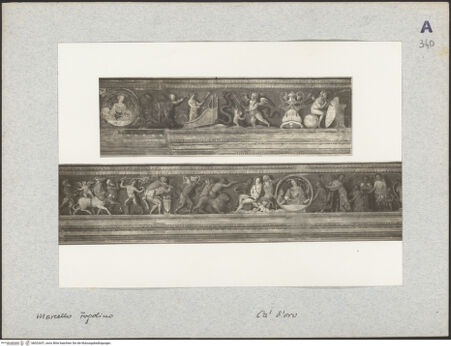 Vorderseite von bh022637_recto