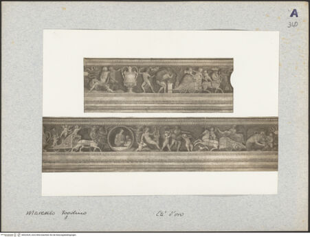 Vorderseite von bh022639_recto