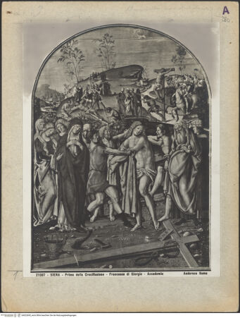 Vorderseite von bh022695_recto