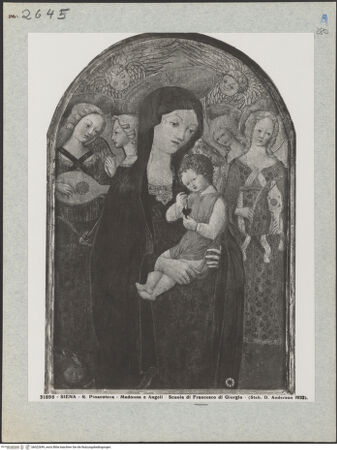 Vorderseite von bh022699_recto