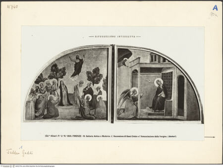 Vorderseite von bh022764_recto