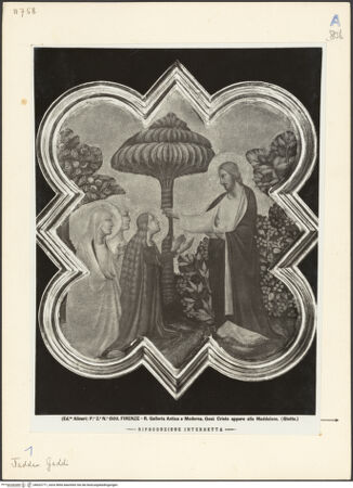 Vorderseite von bh022771_recto