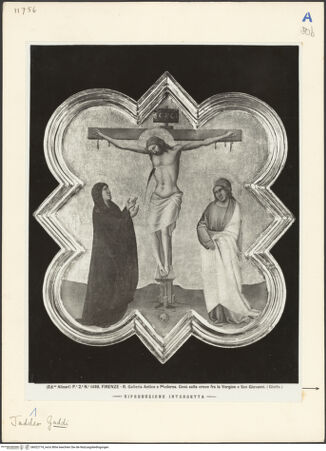 Vorderseite von bh022774_recto