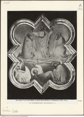 Vorderseite von bh022775_recto