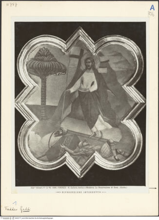 Vorderseite von bh022777_recto