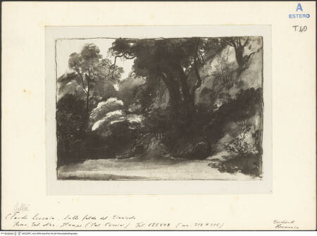 Vorderseite von bh022897_recto