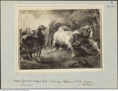 Vorderseite von bh022936_recto