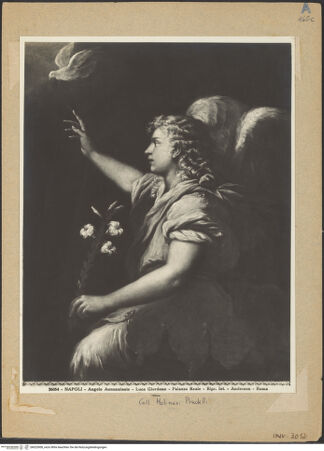 Vorderseite von bh023008_recto