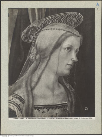 Vorderseite von bh023148_recto