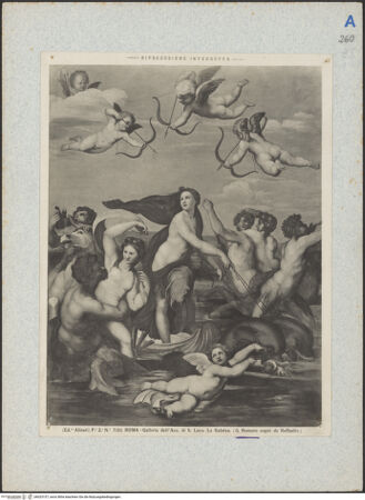 Vorderseite von bh023157_recto