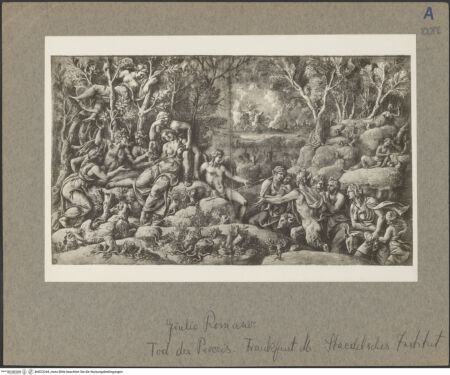 Vorderseite von bh023244_recto