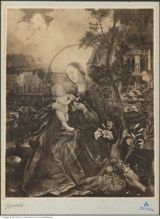 Vorderseite von bh023275_recto