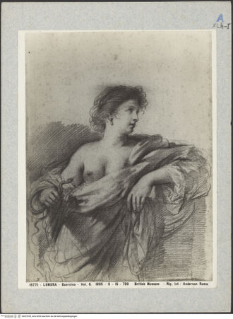 Vorderseite von bh023355_recto