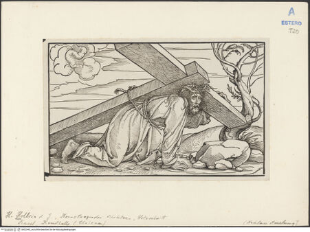 Vorderseite von bh023442_recto