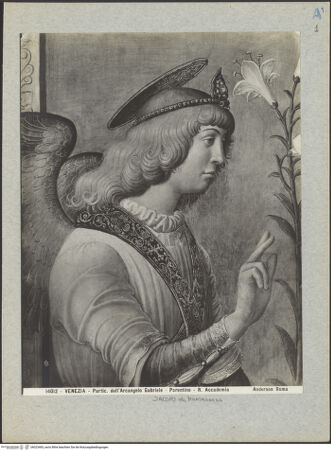 Vorderseite von bh023465_recto