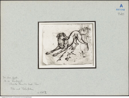 Vorderseite von bh023591_recto