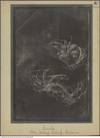 Vorderseite von bh023946_recto