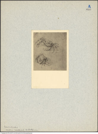 Vorderseite von bh023947_recto