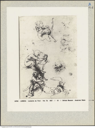 Vorderseite von bh023951_recto