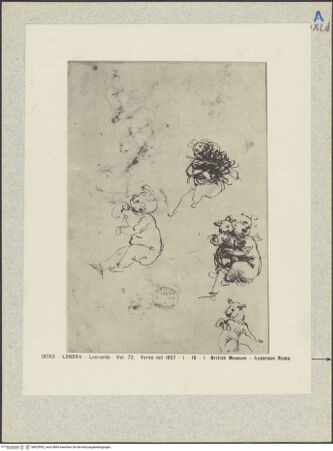 Vorderseite von bh023952_recto