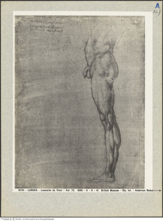 Vorderseite von bh023961_recto