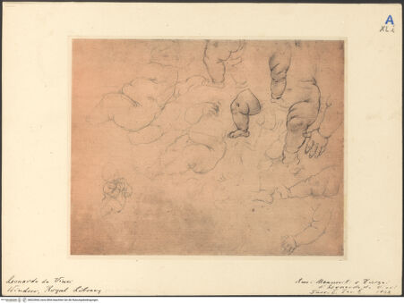 Vorderseite von bh023964_recto