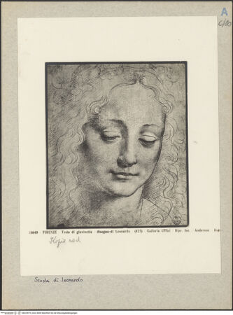 Vorderseite von bh023974_recto