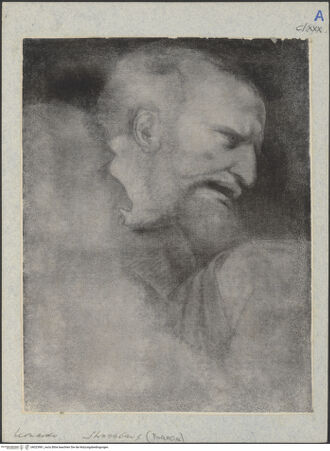 Vorderseite von bh023981_recto