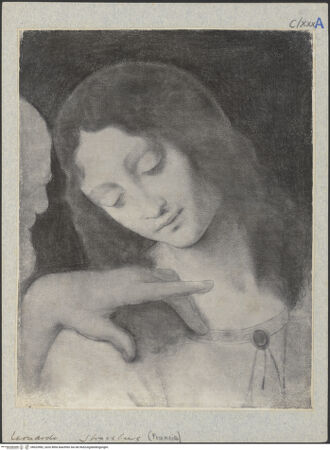 Vorderseite von bh023982_recto