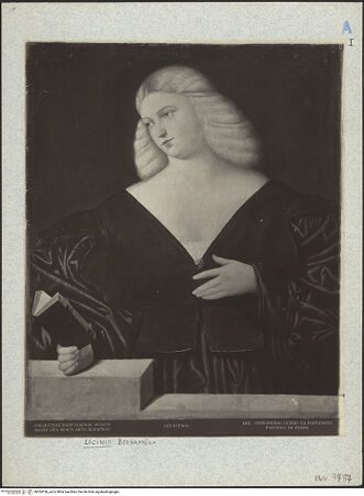 Vorderseite von bh024196_recto