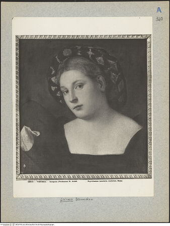 Vorderseite von bh024198_recto