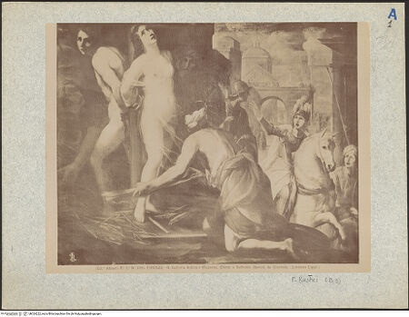 Vorderseite von bh024222_recto