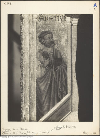 Vorderseite von bh024225_recto